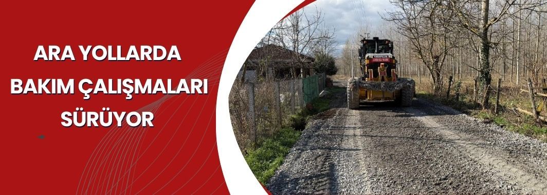 Ara yollarda bakım çalışmaları sürüyor