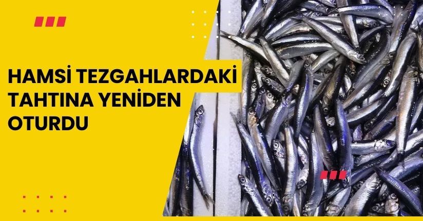 Hamsi tezgahlardaki tahtına yeniden oturdu