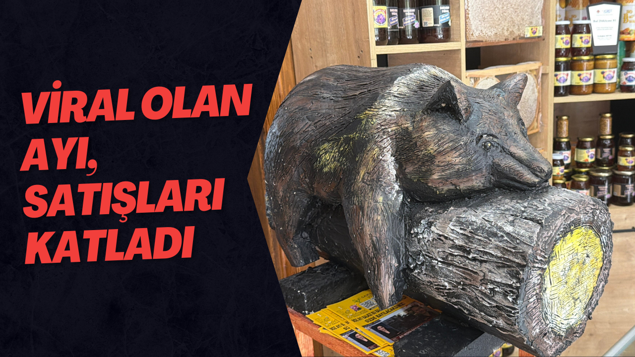 Viral Olan Ayı, Satışları Katladı
