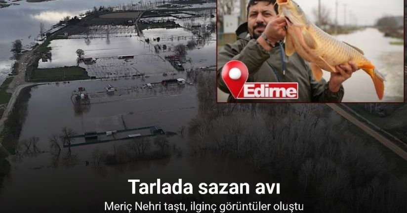 Meriç Nehri’nin taşmasıyla bazı vatandaşlar tarlasında canlı sazan balığı yakaladı