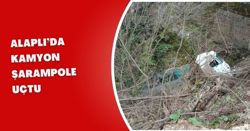 Alaplı’da kamyon şarampole uçtu
