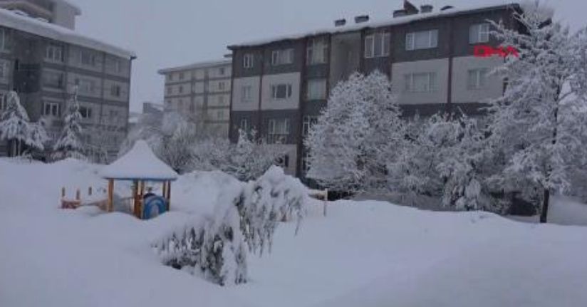 Bitlis ve Van'da 205 yerleşim yerinin yolu kardan kapandı