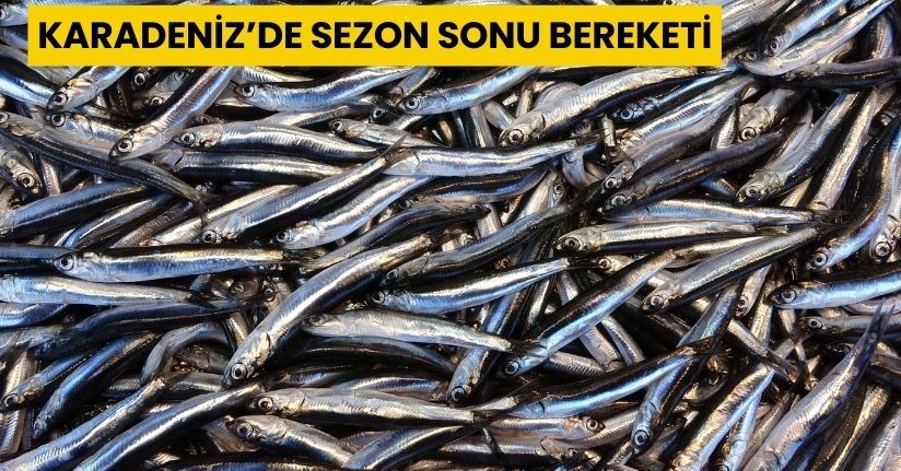 Karadeniz’de sezon sonu bereketi