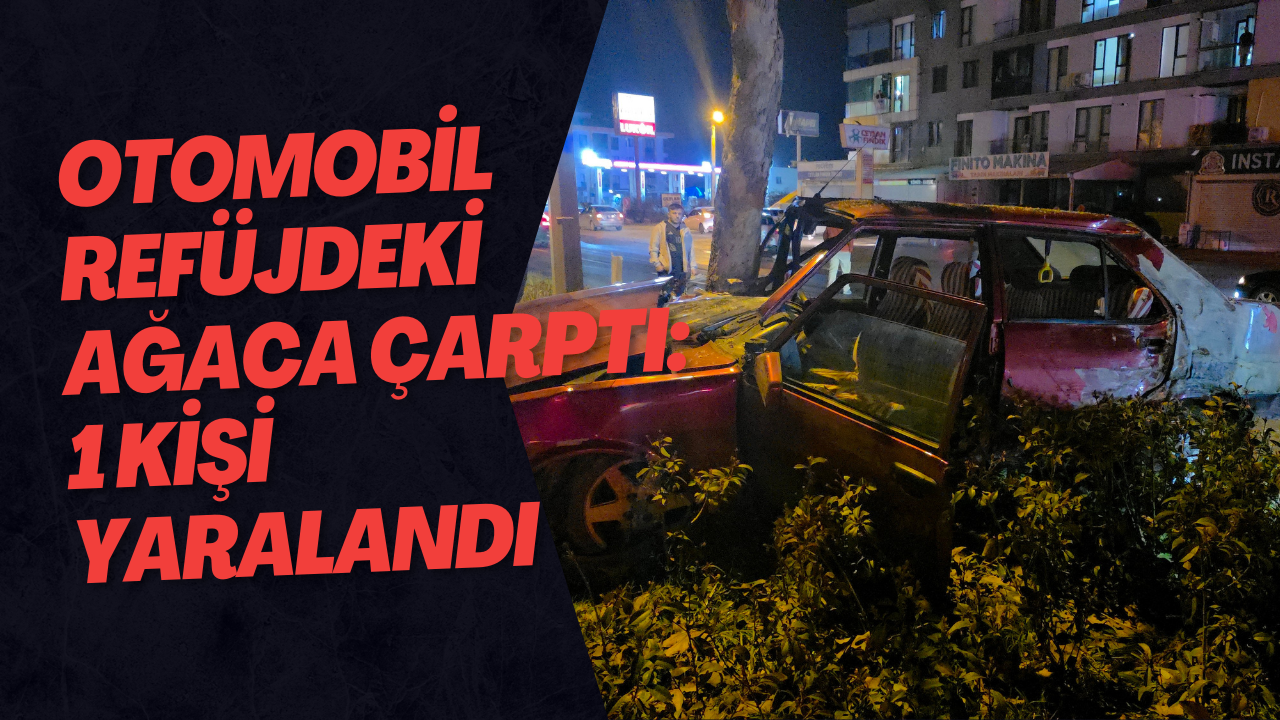 Otomobil Refüjdeki Ağaca Çarptı: 1 Kişi Yaralandı