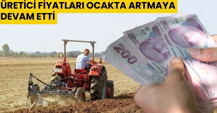 Tarım ürünleri üretici fiyatları ocakta arttıTarım ürünleri üretici fiyatları ocakta arttı