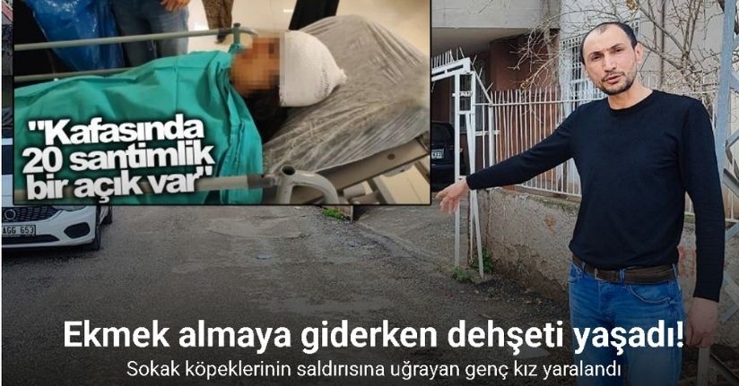 Ekmek almaya giderken sokak köpeklerinin saldırısına uğrayan genç kız yaralandı