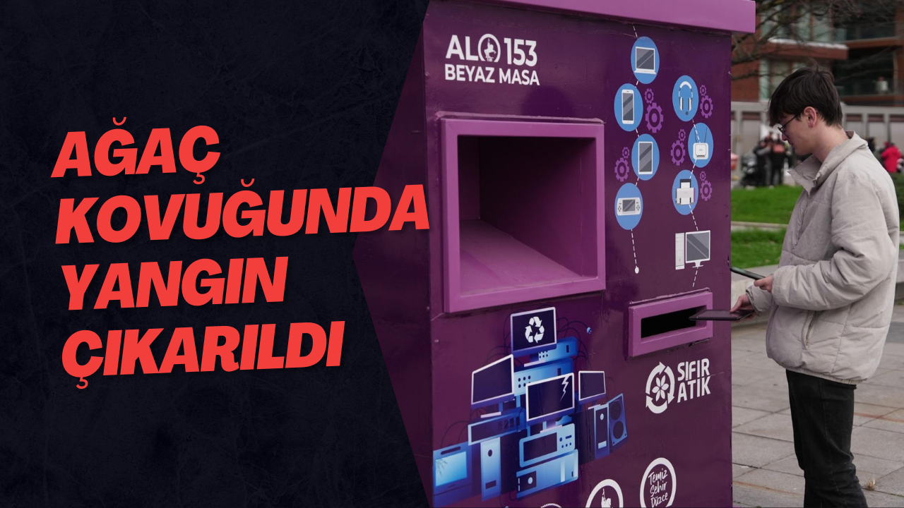Ağaç Kovuğunda Yangın Çıkarıldı