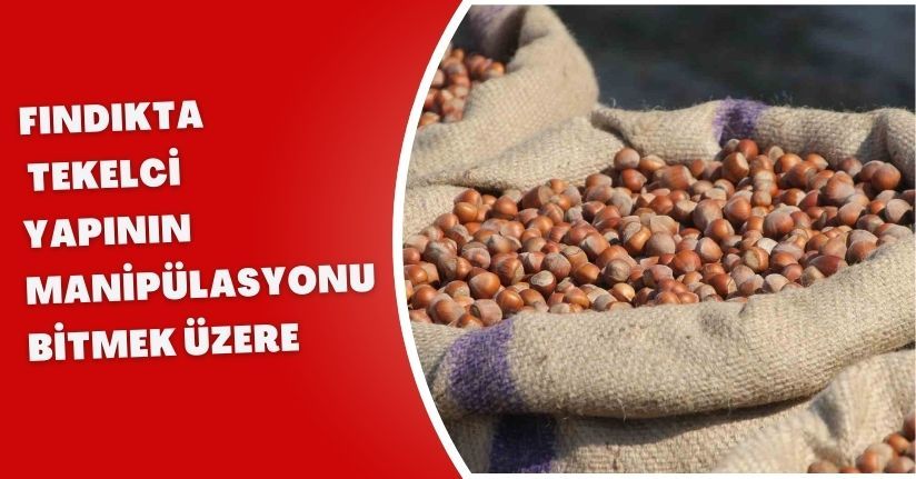 Fındıkta tekelci yapının manipülasyonu bitmek üzere