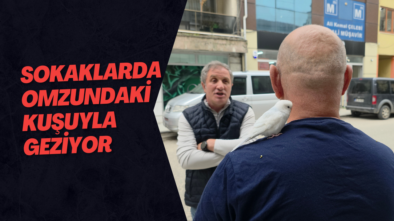 Sokaklarda Omzundaki Kuşuyla Geziyor