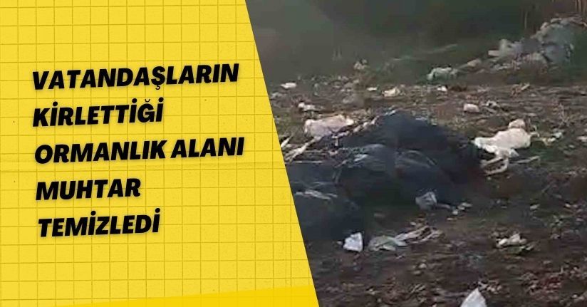 Vatandaşların kirlettiği ormanlık alanı muhtar temizledi