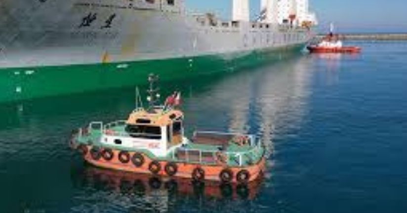 3 bin 115 yabancı bayraklı gemi denetlendi, 486 gemi seferden alıkonuldu