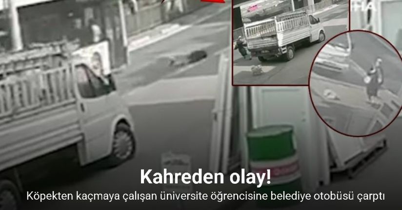 Köpekten kaçmaya çalışan üniversite öğrencisine belediye otobüsü çarptı
