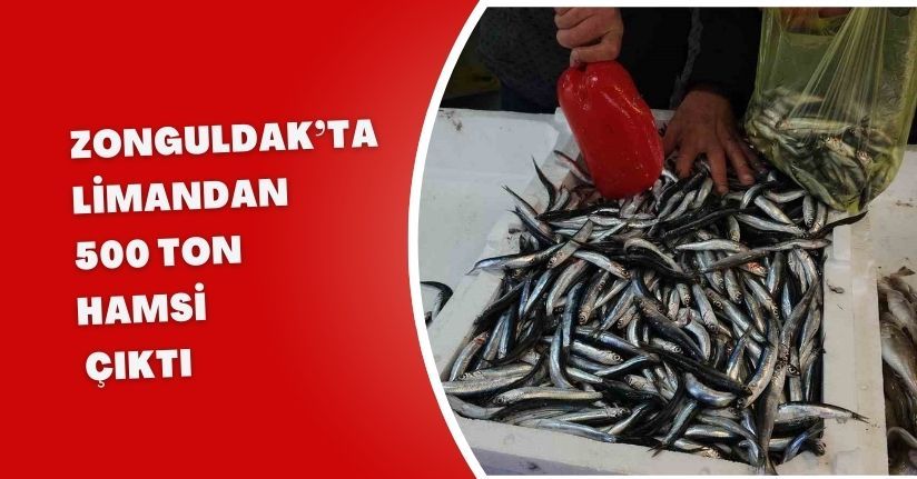 Zonguldak’ta limandan 500 ton hamsi çıktı