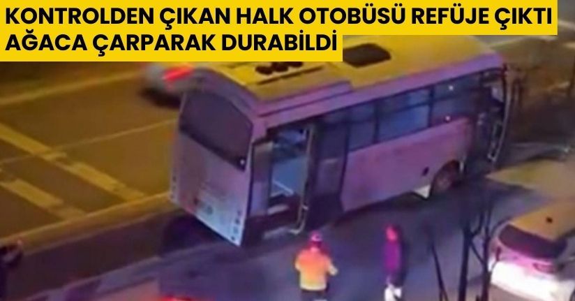 Kontrolden çıkan halk otobüsü refüje çıktı, ağaca çarparak durabildi