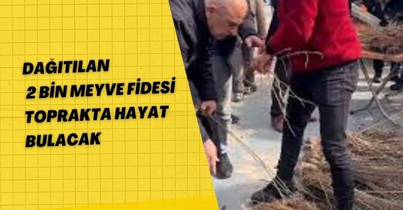 Dağıtılan 2 bin meyve fidesi toprakta hayat bulacak