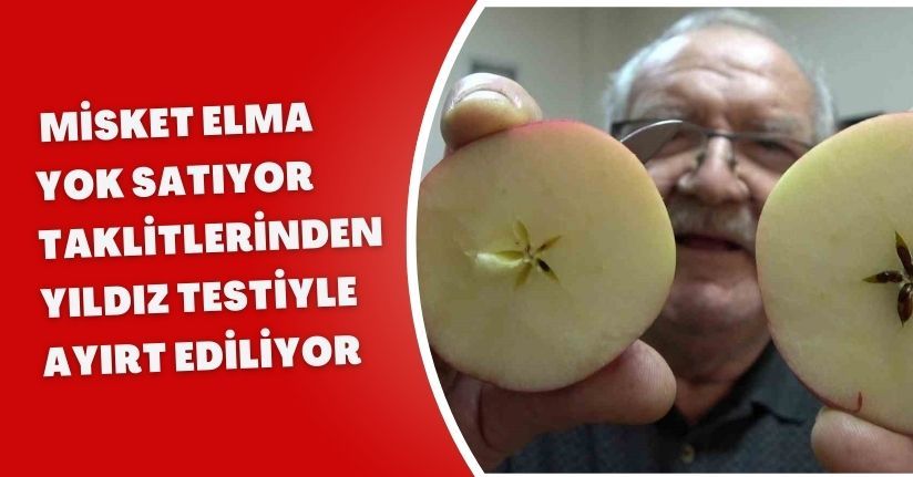 Misket elma yok satıyor: Taklitlerinden yıldız testiyle ayırt ediliyorMisket elma yok satıyor: Taklitlerinden yıldız testiyle ayırt ediliyor