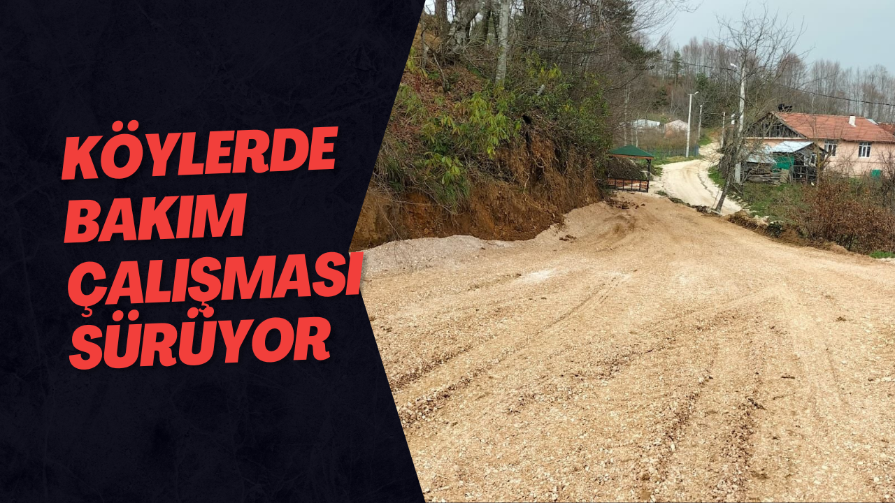 Köylerde Bakım Çalışması Sürüyor