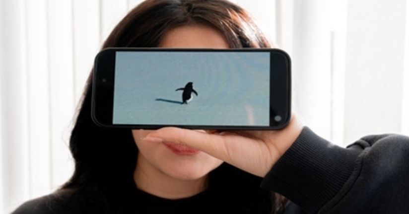 'Nihilist penguen'e kendi yalnızlığımızı yükledik'