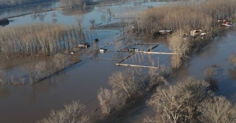 Meriç Nehri taştı, ovalar su altında kaldı