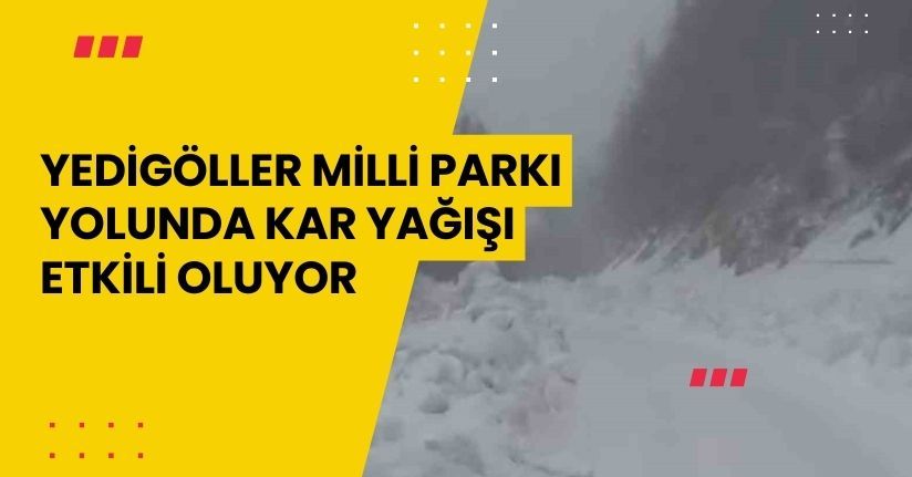 Yedigöller Milli Parkı yolunda kar yağışı etkili oluyor