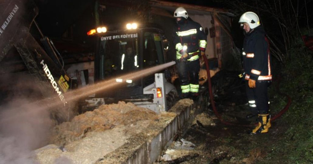 Ordu’da ahır yangını: 27 büyükbaş hayvan telef oldu