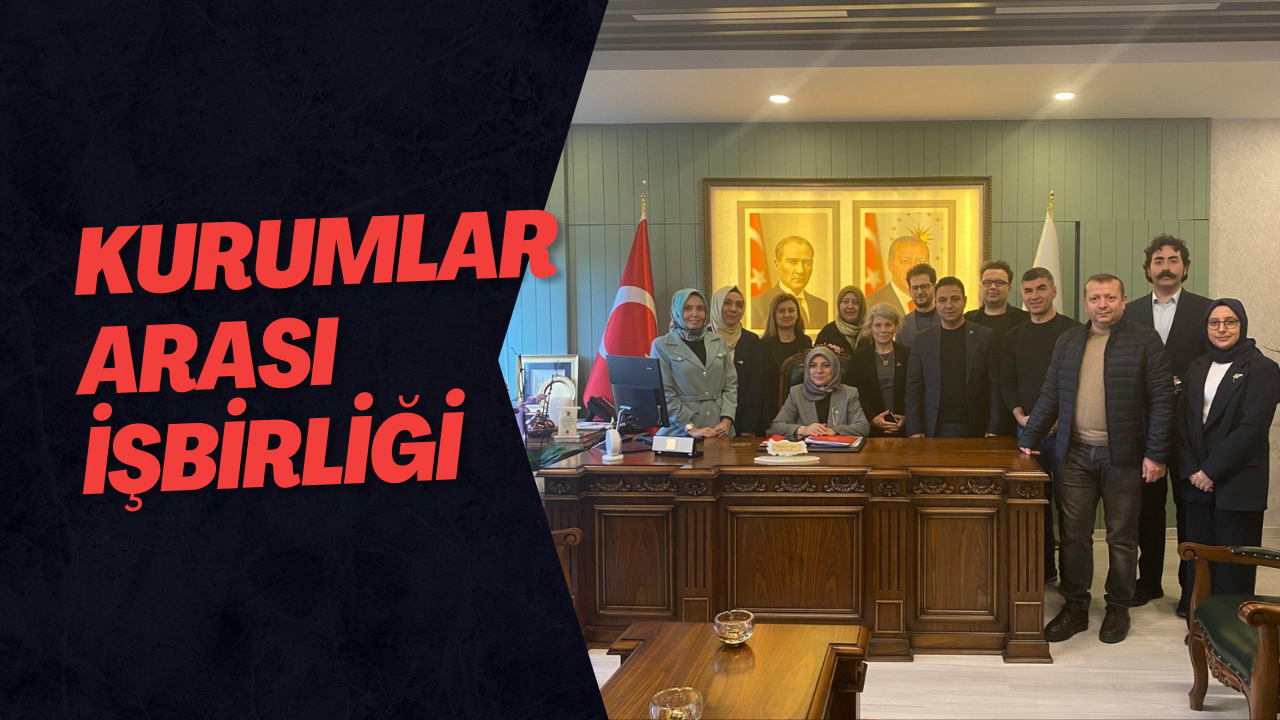 Kurumlar Arası İşbirliği