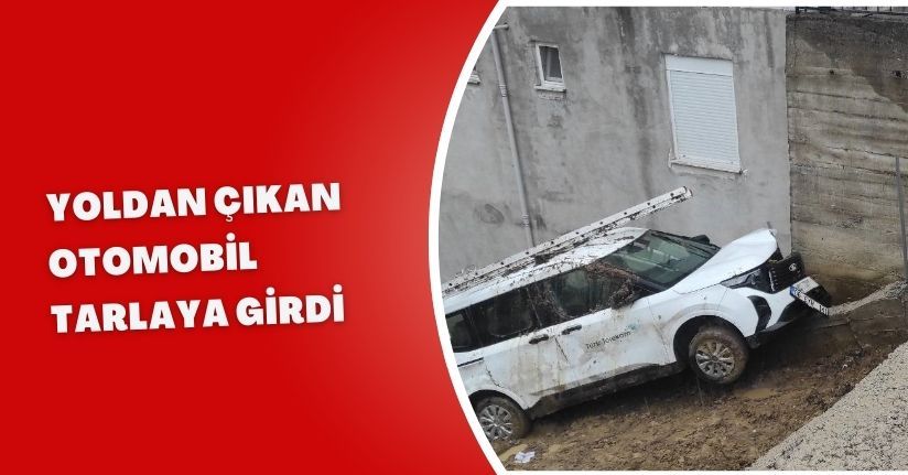 Yoldan çıkan otomobil tarlaya girdi