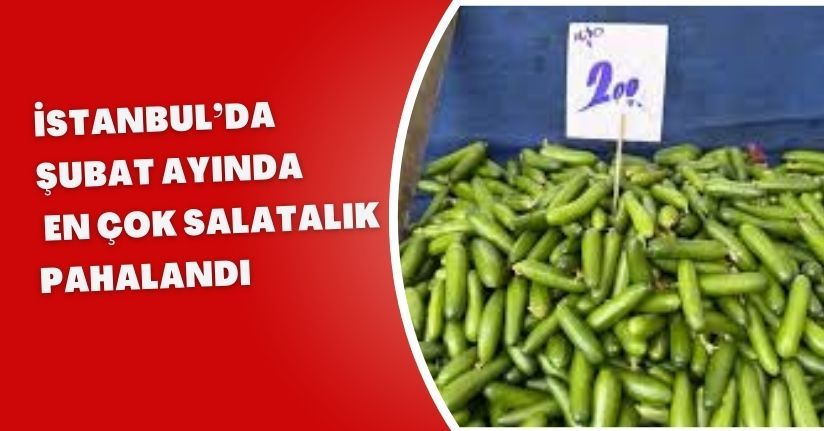 İstanbul’da Şubat ayında en çok salatalık pahalandı