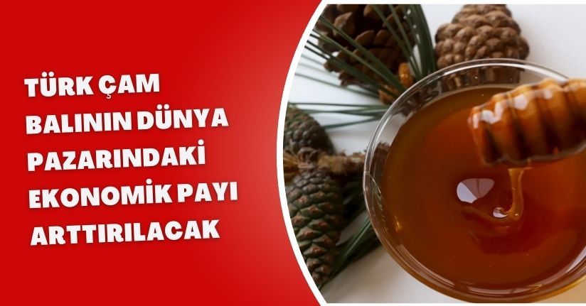 Türk çam balının dünya pazarındaki ekonomik payı arttırılacak