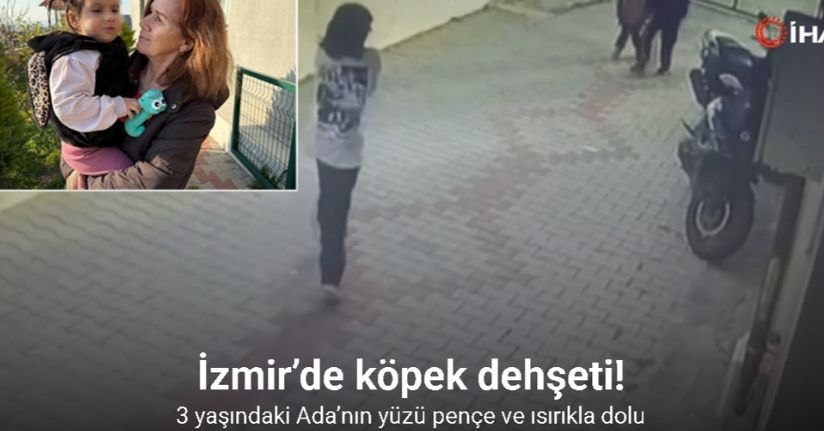 İzmir’de köpek dehşeti: 3 yaşındaki Ada’nın yüzü pençe ve ısırıkla dolu