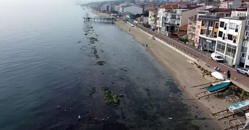 Tekirdağ'da deniz 7 metre çekildi; 'Kral Yolu' ortaya çıktı