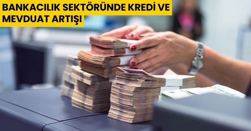 Bankacılık Sektöründe Kredi ve Mevduat Artışı