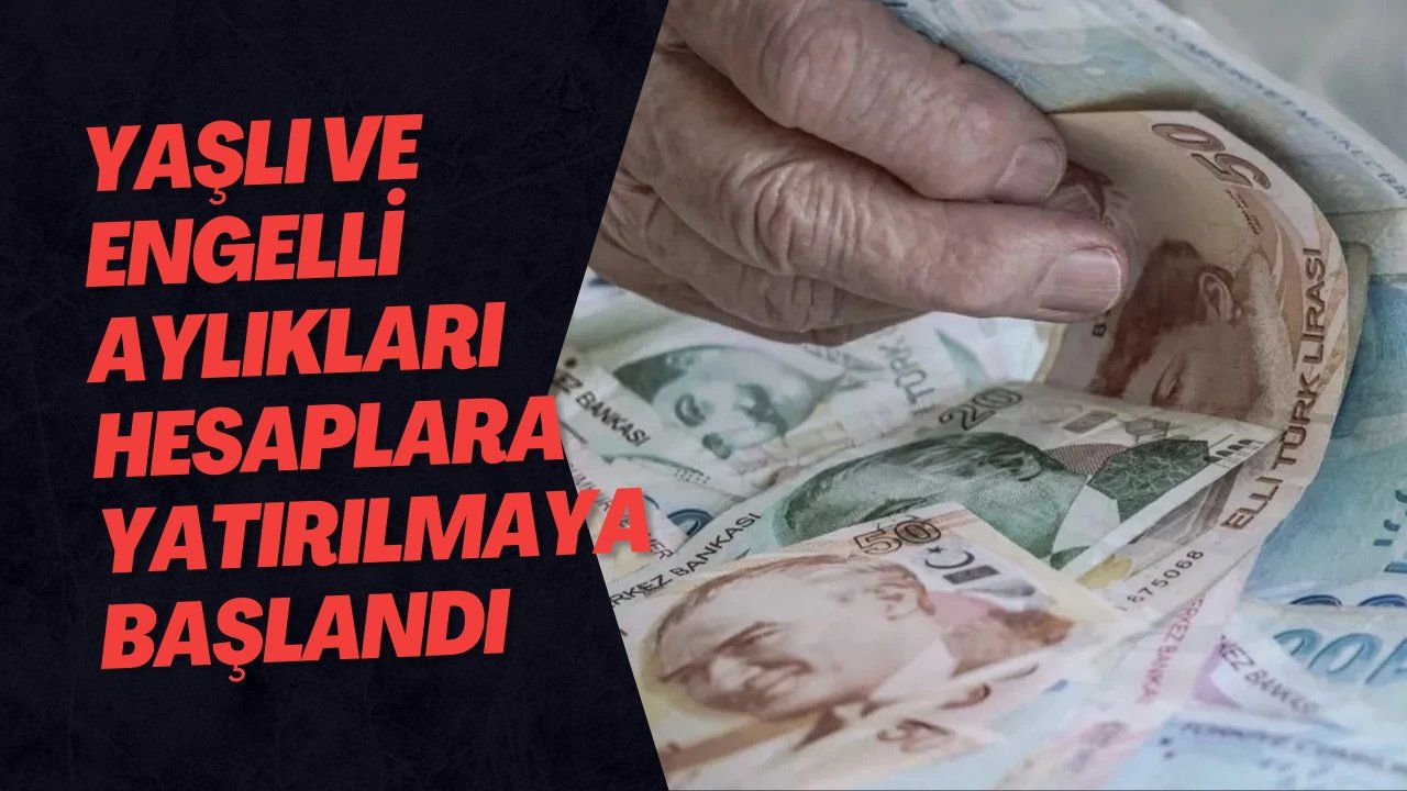 Yaşlı ve Engelli Aylıkları Hesaplara Yatırılmaya Başlandı