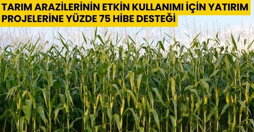 Tarım Arazilerinin Etkin Kullanımı İçin Yatırım Projelerine Yüzde 75 Hibe Desteği