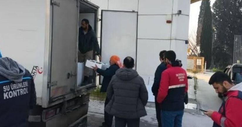 Aydın’da nakil belgesiz 290 kasa balığa el konuldu