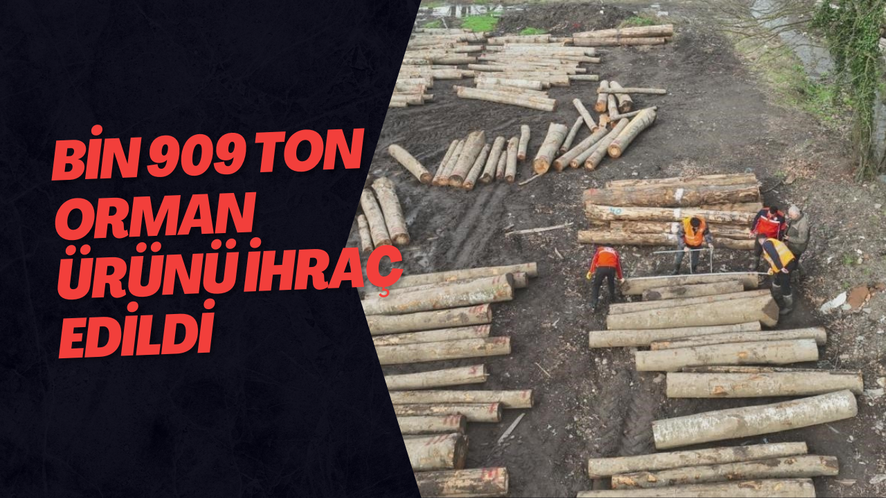 Bin 909 Ton Orman Ürünü İhraç Edildi