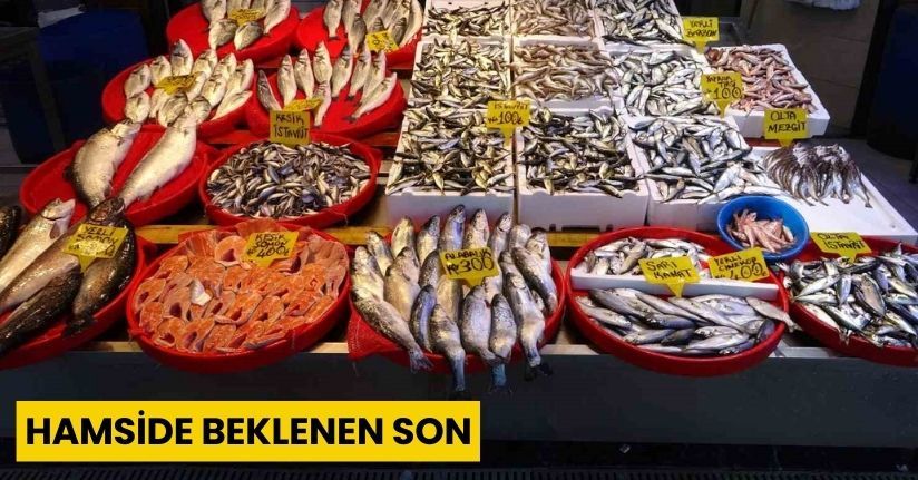 Hamside beklenen son