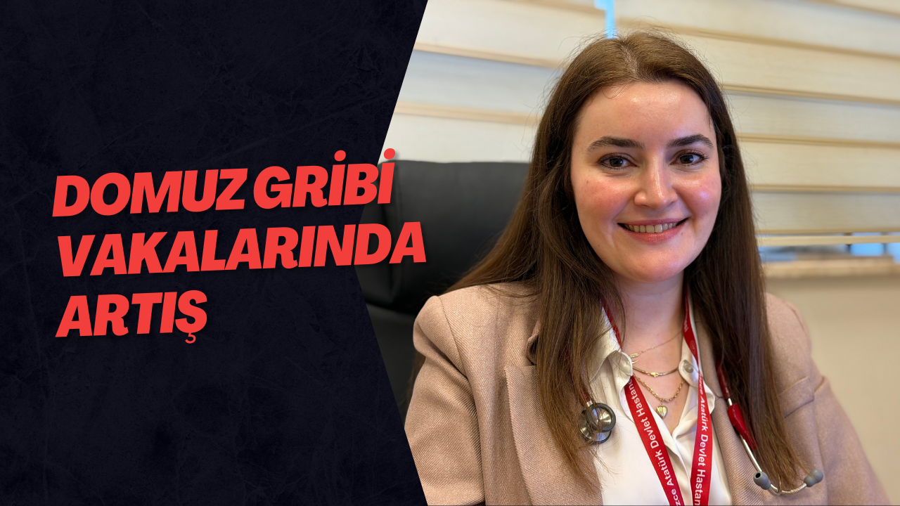 Domuz Gribi Vakalarında Artış