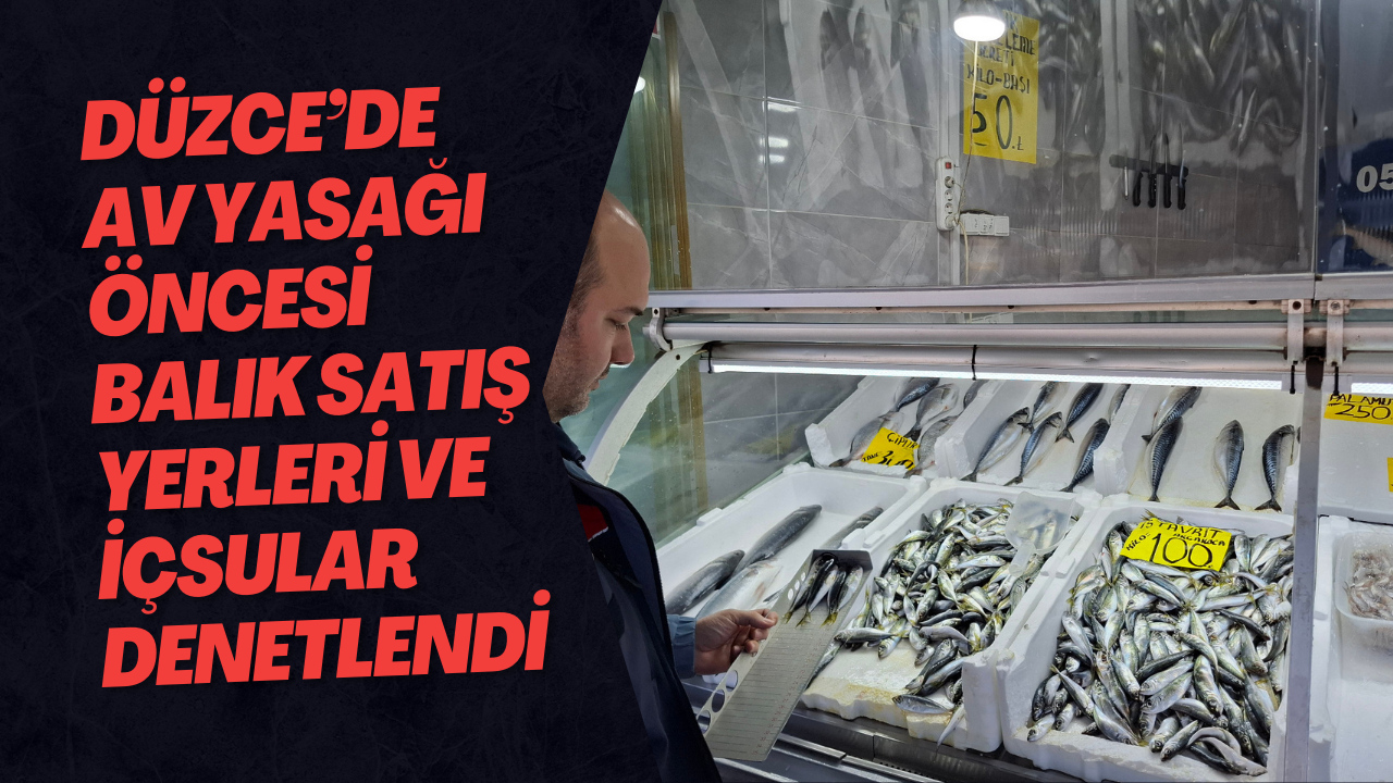 Düzce’de Av Yasağı Öncesi Balık Satış Yerleri Ve İçsular Denetlendi