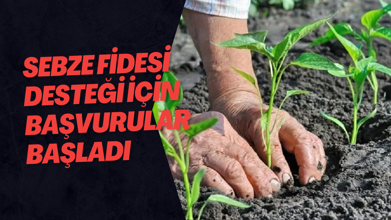 Sebze Fidesi Desteği İçin Başvurular Başladı