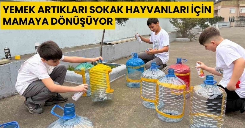 Yemek artıkları sokak hayvanları için mamaya dönüşüyor