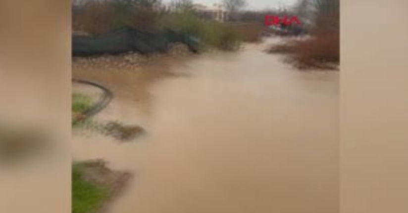 Mardin'de sağanak; dereler taştı, evler ile tarım arazilerini su bastı 
