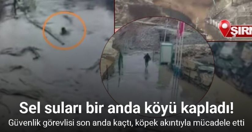 Güvenlik görevlisi son anda kaçtı, köpek sel sularıyla mücadele etti