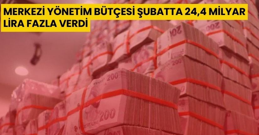 Merkezi Yönetim Bütçesi Şubatta 24,4 Milyar Lira Fazla Verdi