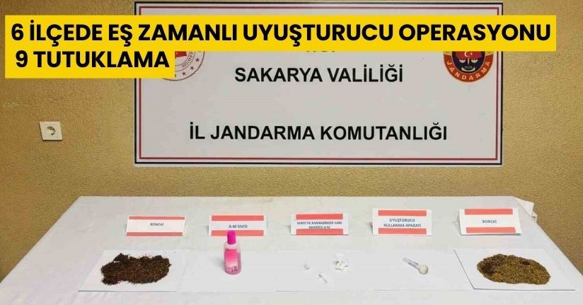 6 ilçede eş zamanlı uyuşturucu operasyonu: 9 tutuklama