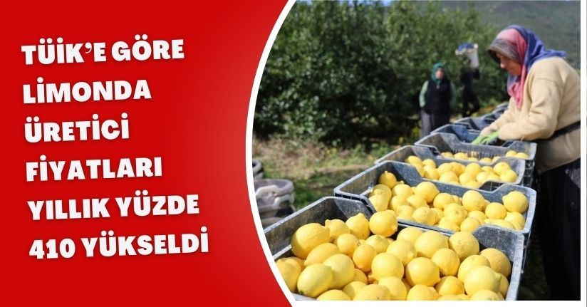 TÜİK’e göre limonda üretici fiyatları yıllık yüzde 410 yükseldi