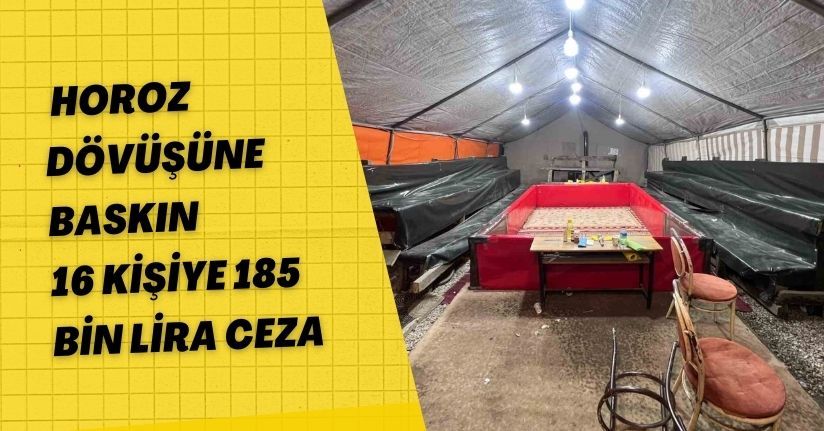 Horoz dövüşüne baskın: 16 kişiye 185 bin lira ceza