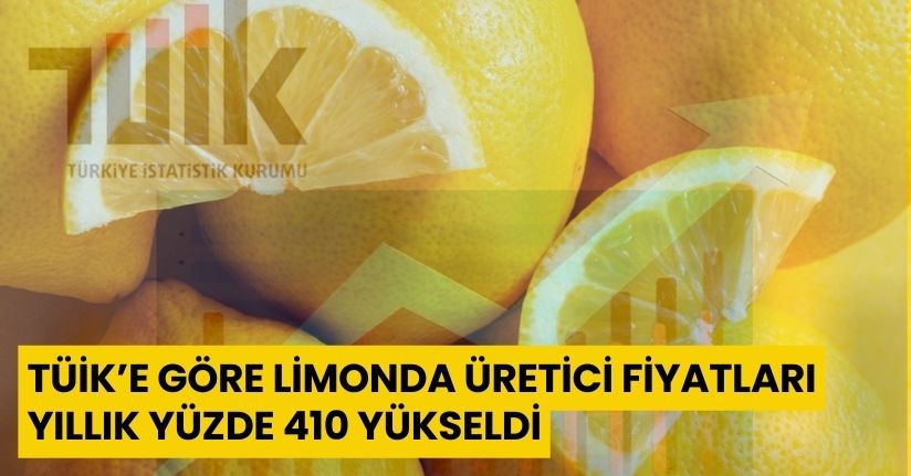TÜİK’e göre limonda üretici fiyatları yıllık yüzde 410 yükseldi