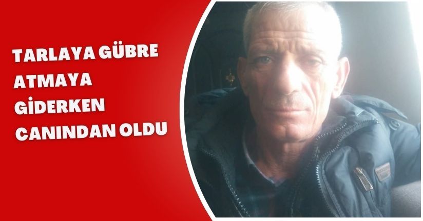 Tarlaya gübre atmaya giderken canından oldu