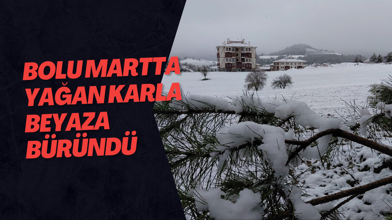 Bolu Martta Yağan Karla Beyaza Büründü